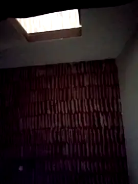 Snapshot of catdool chatting on January 22, 8:18 am catdool online show from January 22, 8:18 am