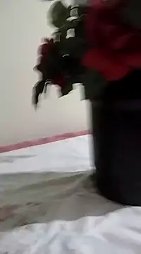 Snapshot of catdool chatting on January 23, 3:26 am catdool online show from January 23, 3:26 am