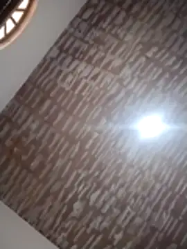 Snapshot of catdool chatting on December 14, 12:21 pm catdool online show from December 14, 12:21 pm