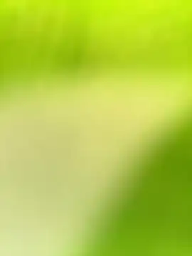 Dhiyapink online show from December 21, 3:58 am