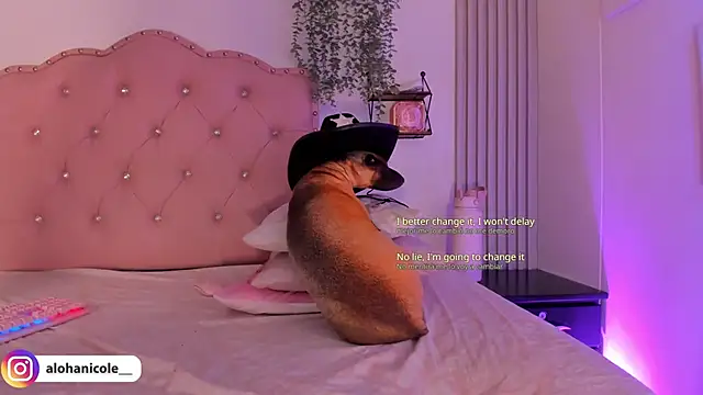 sweet nicole 11 online show from October 30, 10:27 am