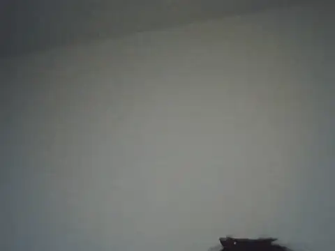 Snapshot of FallenDevil chatting on November 16, 8:14 pm FallenDevil online show from November 16, 8:14 pm