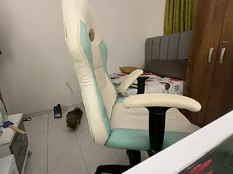 Max TheHorseDick online show from December 14, 2:34 am