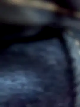 Snapshot of AiledSC chatting on October 12, 6:51 pm AiledSC online show from October 12, 6:51 pm