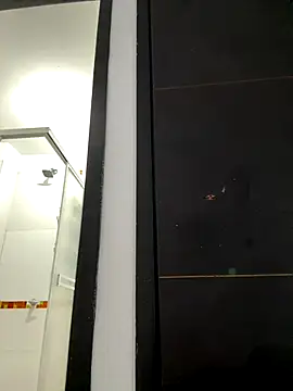 Snapshot of AiledSC chatting on November 15, 6:04 pm AiledSC online show from November 15, 6:04 pm