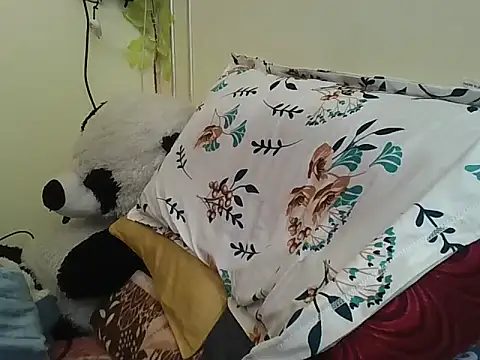 SHENOY3 online show from February 2, 6:26 am