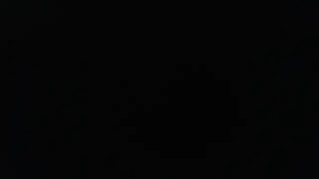 herver67 online show from December 3, 6:17 pm