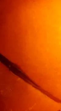 k lebannon online show from December 31, 11:49 pm