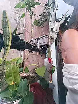 Snapshot of k_lebannon chatting on February 20, 8:36 pm k lebannon online show from February 20, 8:36 pm