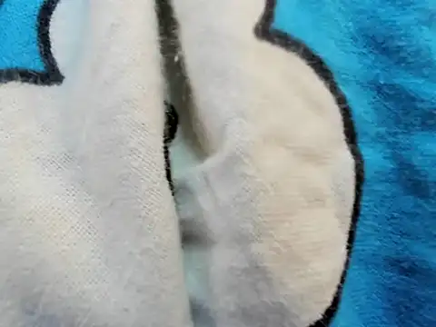 Snapshot of bigbooty29 chatting on September 29, 4:50 am bigbooty29 online show from September 29, 4:50 am