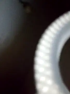 Snapshot of rodovlaz chatting on February 19, 12:35 am rodovlaz online show from February 19, 12:35 am