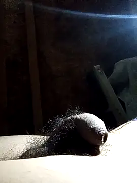 Snapshot of rodovlaz chatting on November 12, 3:40 am rodovlaz online show from November 12, 3:40 am