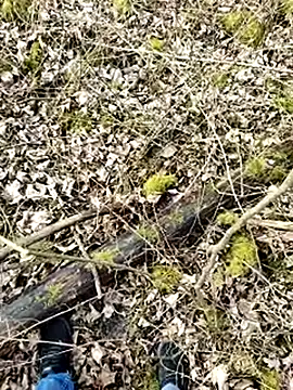 Snapshot of Boring_one chatting on March 17, 1:50 pm Boring one online show from March 17, 1:50 pm