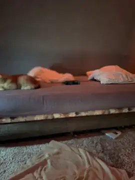 Bastet online show from January 15, 7:34 pm