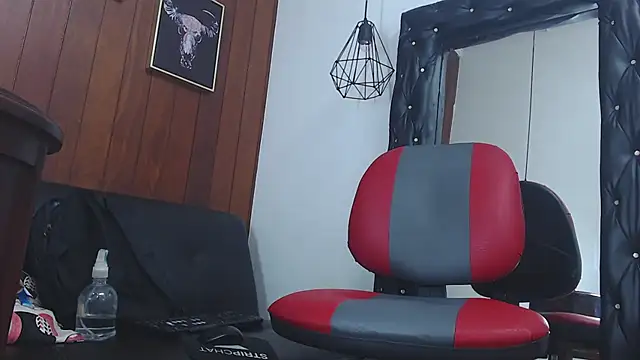 Snapshot of GaboReyes chatting on February 3, 6:56 am GaboReyes online show from February 3, 6:56 am