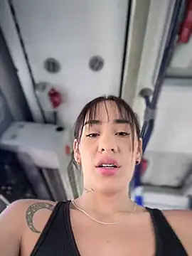 Snapshot of __IRIS__ chatting on January 23, 4:04 pm IRIS online show from January 23, 4:04 pm