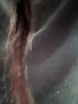 Snapshot of __IRIS__ chatting on February 14, 4:31 pm IRIS online show from February 14, 4:31 pm