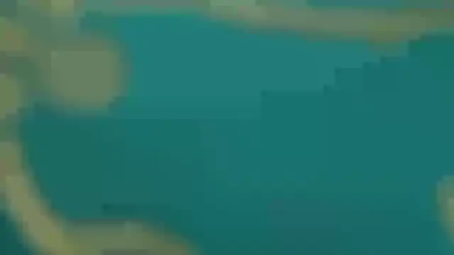 Your Devika online show from January 25, 2:25 pm