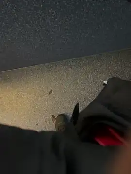 Snapshot of angelitasexy81 chatting on December 15, 3:49 pm angelitasexy81 online show from December 15, 3:49 pm