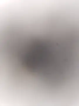 Pitercom online show from September 20, 3:46 pm