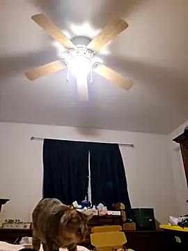 ScarletCallings420 online show from February 19, 3:27 pm