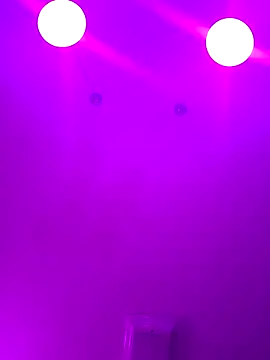 ScarletCallings420 online show from February 24, 4:15 pm