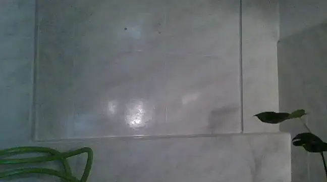 samay cole online show from February 28, 4:32 am