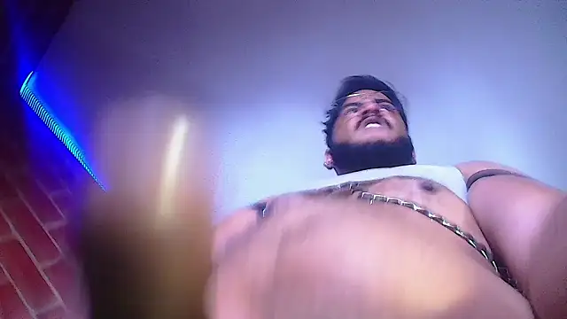 the master foal  online show from January 23, 3:43 pm