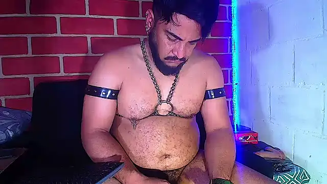 the master foal  online show from January 28, 8:36 am