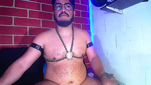 the master foal  online show from January 28, 11:38 am