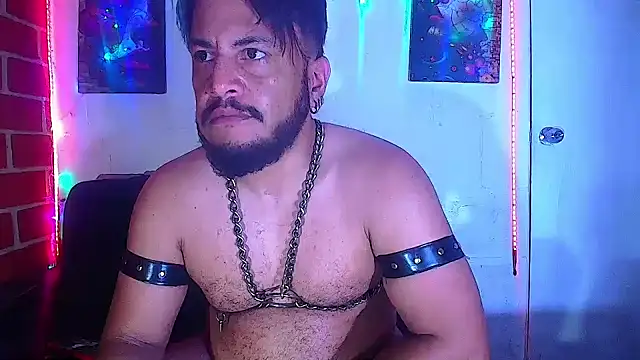 the master foal  online show from March 5, 1:50 pm