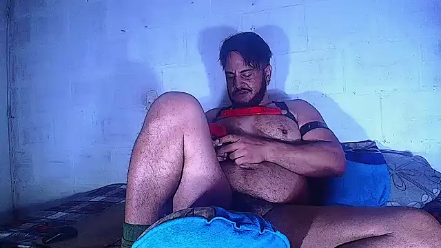 the master foal  online show from March 12, 10:48 am