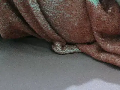 FUN4TIPS online show from March 2, 2:00 pm