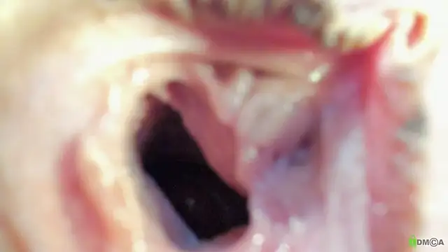 Courtney Luv online show from September 19, 2:51 pm