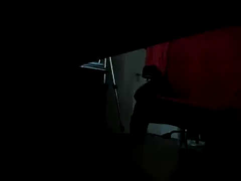 leccaleccafiga online show from February 10, 6:35 pm