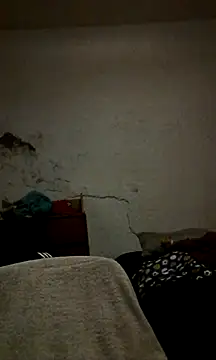 landy20cm online show from December 8, 8:20 am