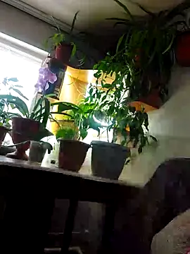 Snapshot of IrmaRose chatting on November 9, 7:17 am IrmaRose online show from November 9, 7:17 am