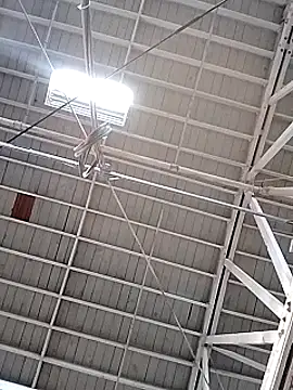 Daddy hook online show from December 17, 3:17 pm