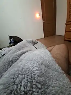 Calamaco07 online show from November 28, 12:30 pm