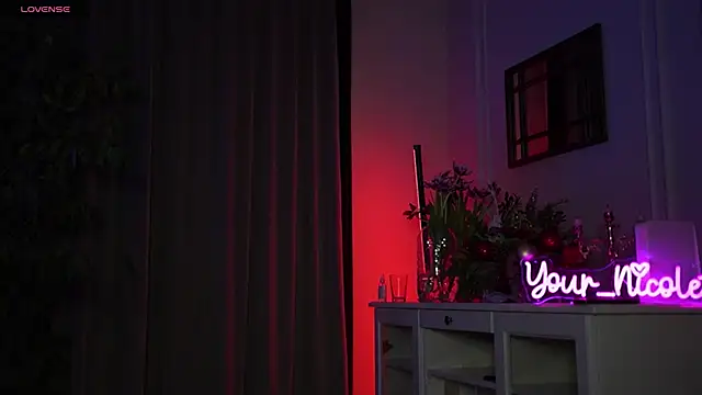 Snapshot of Your_Nicolett chatting on January 18, 2:47 am Your Nicolett online show from January 18, 2:47 am