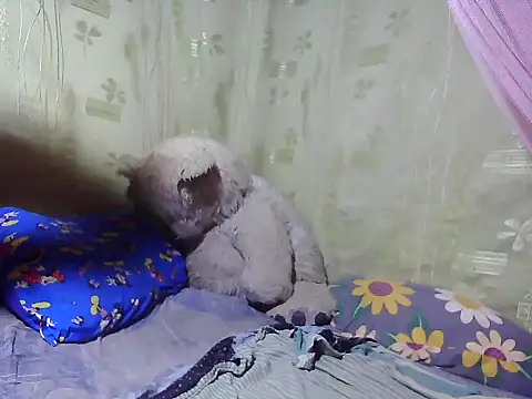 Snapshot of Alora-shine chatting on February 3, 8:02 am Alora-shine online show from February 3, 8:02 am