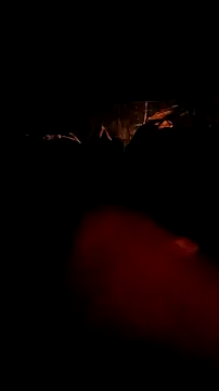 Roberts8inchcock online show from November 27, 10:39 am