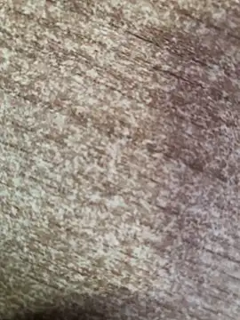 gokhanbey34 online show from October 8, 2:36 pm