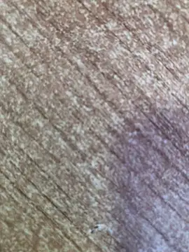 gokhanbey34 online show from October 26, 8:53 am