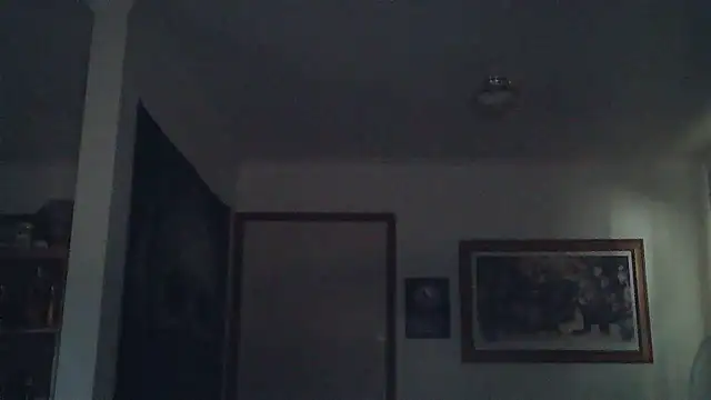 Snapshot of HOTANAL chatting on March 11, 1:16 am HOTANAL online show from March 11, 1:16 am