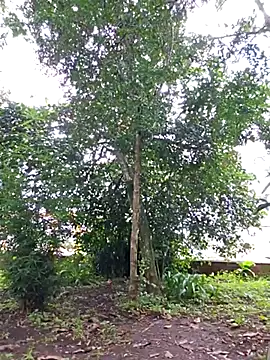 Yuky ta online show from February 23, 5:50 pm