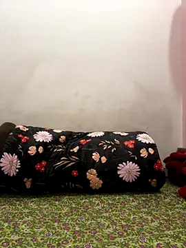 katrina 0143 online show from November 20, 9:31 am