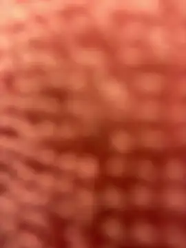 Snapshot of BigFineSelena chatting on January 11, 3:09 pm BigFineSelena online show from January 11, 3:09 pm