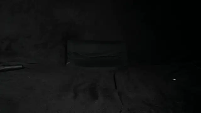 Snapshot of STOP-PANIC chatting on February 1, 8:50 am STOP-PANIC online show from February 1, 8:50 am