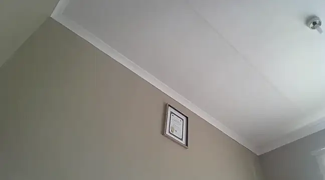 EbonySeductressx online show from March 20, 10:43 am